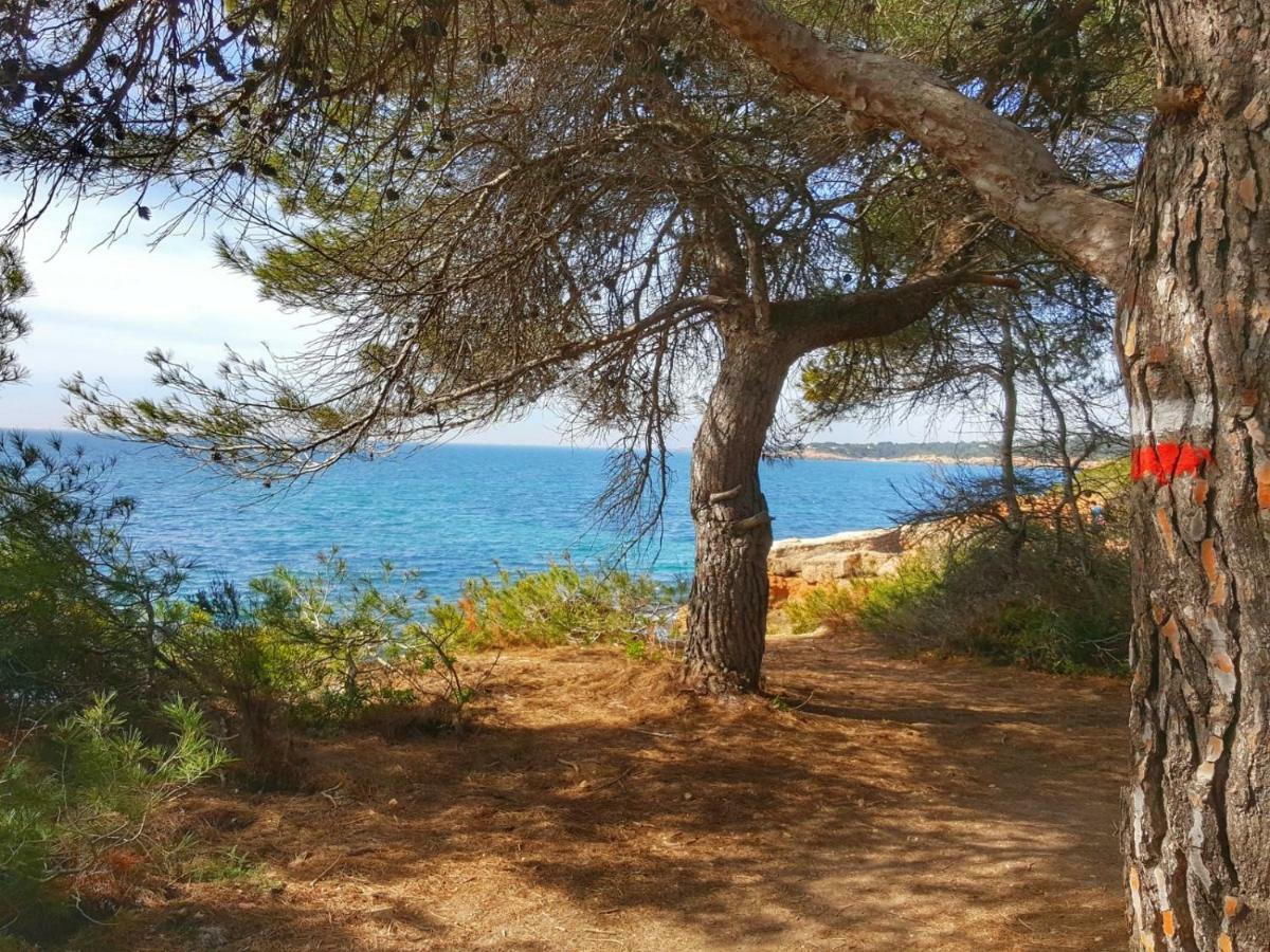 Finca Llambrich L'Ametlla de Mar Exteriér fotografie